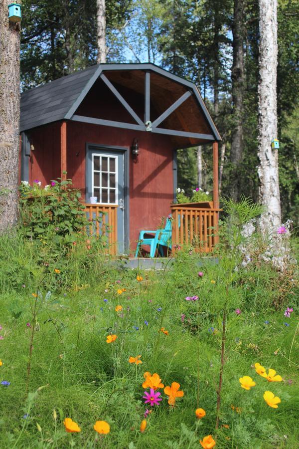 Dfa Cabin Rentals Talkeetna Exterior foto